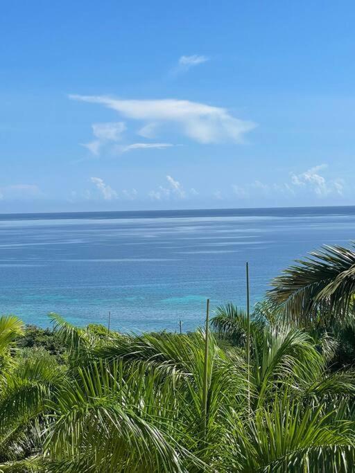 Spring Garden Mobay Resort Luxurious Apartments Монтего Бей Екстериор снимка